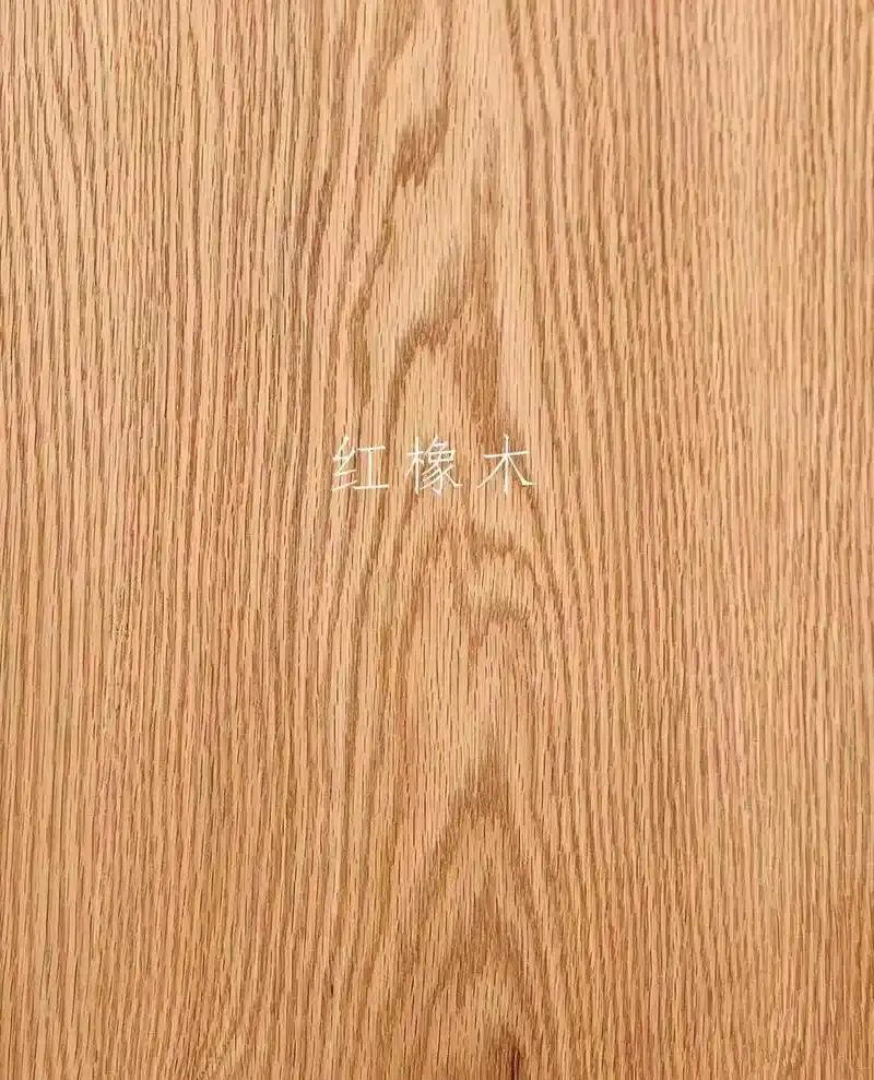 红橡木广泛分布于美国东部,一颗成年的红橡树 - 抖音