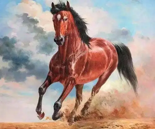 南阳北辰作文集锦 第(七)期