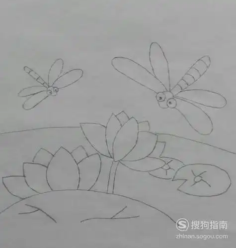 蜻蜓荷花儿童简笔画