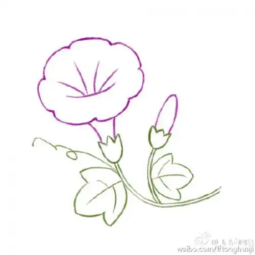 牵牛花怎么画牵牛花的画法喇叭花简笔画教程牵牛花卡通画绘画教程