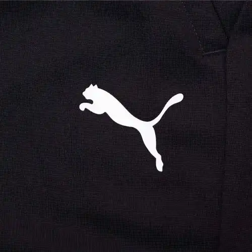 puma彪马官方 青少年拼色 logo 长裤 liga 655639