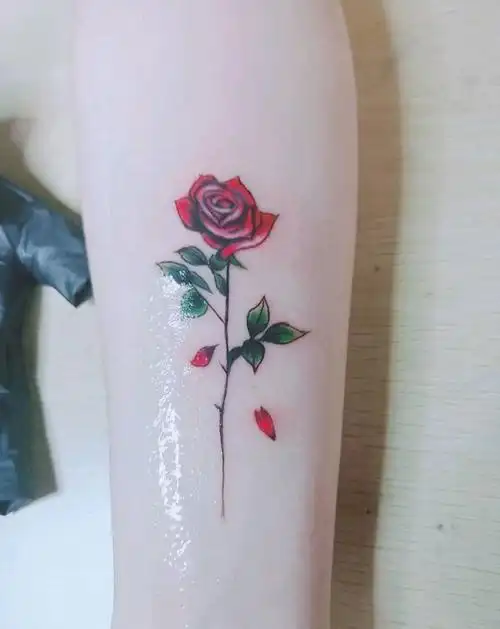 玫瑰纹身图片_手臂水彩水墨玫瑰彩色小清新纹身图案(2)_四川省德阳市
