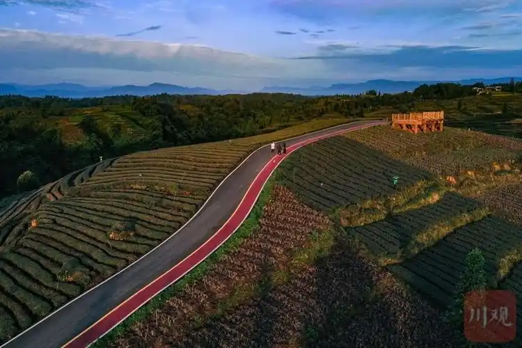 雅安市名山区被评为"四好农村路"全国示范县_腾讯新闻