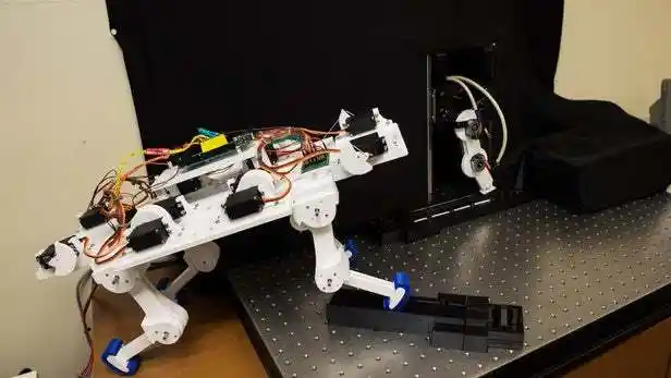 可以自学走路的机器腿为动态假肢开辟新的可能性