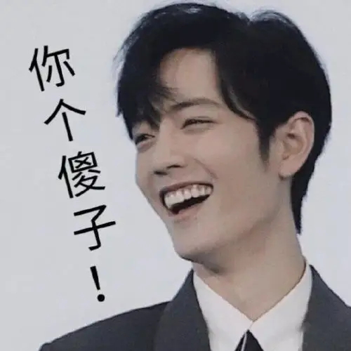 肖战表情包,打卡