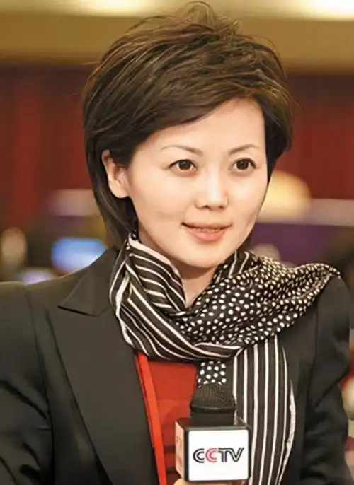 在央视发展得还不错的柴璐,被安排主持了她担任记者多年的《海峡两岸