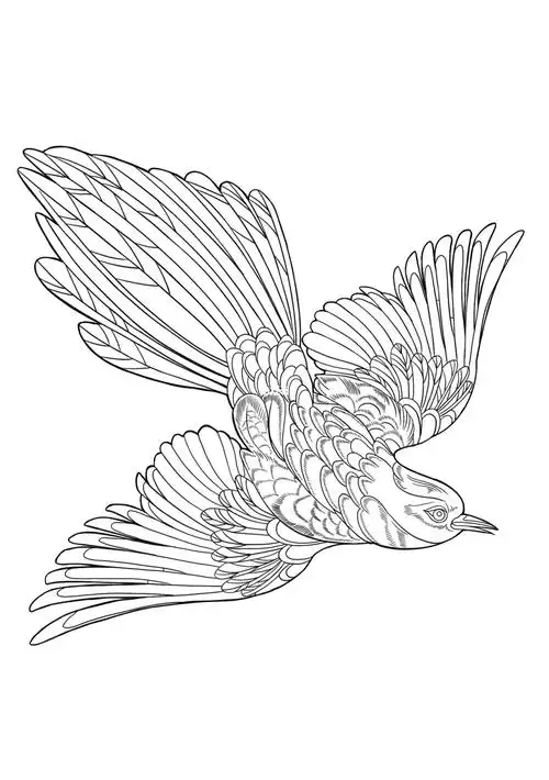 国潮插画元素练习飞鸟