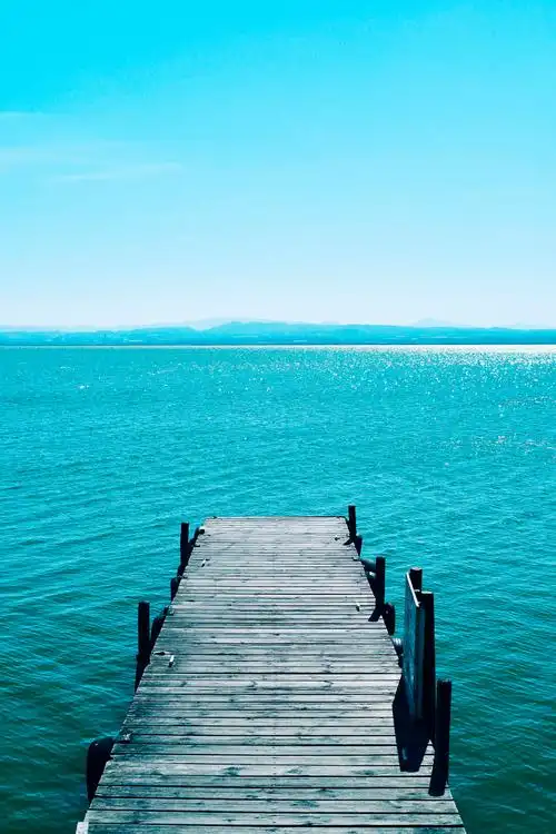 1280_1920竖版 竖屏