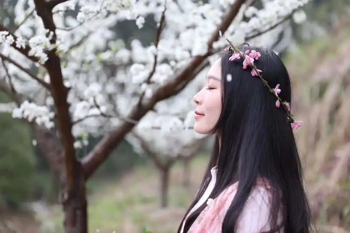 人面桃花相映红,我家姑娘靓其中,难得高雅淡愁蕴,最是娇羞微笑 - 抖音