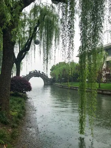 烟雨江南|陶醉在你清新婉约的气质里