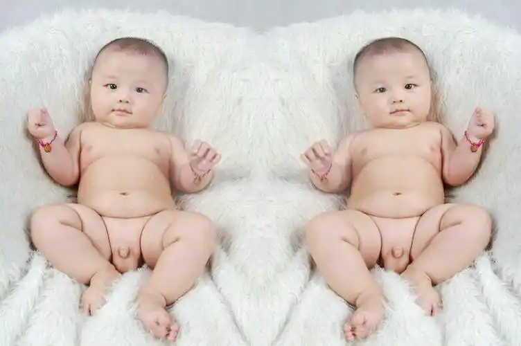 二胎,男孩,b超显示小鸡鸡了,翻盘没机会了