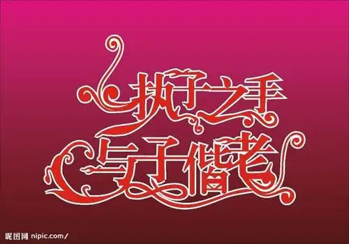 谢谢你我的爱人