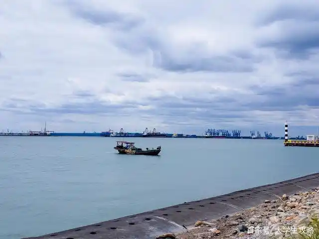 大学生出游|天津周末看海好去处