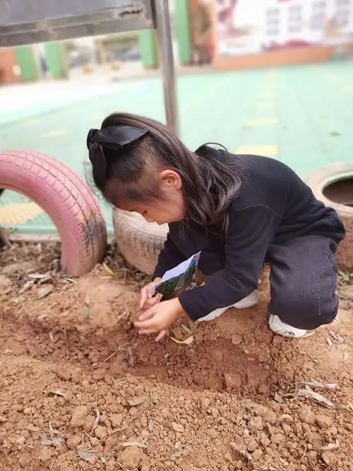 《播种希望 收获快乐》———梨林镇实验幼儿园大一班蔬菜种植