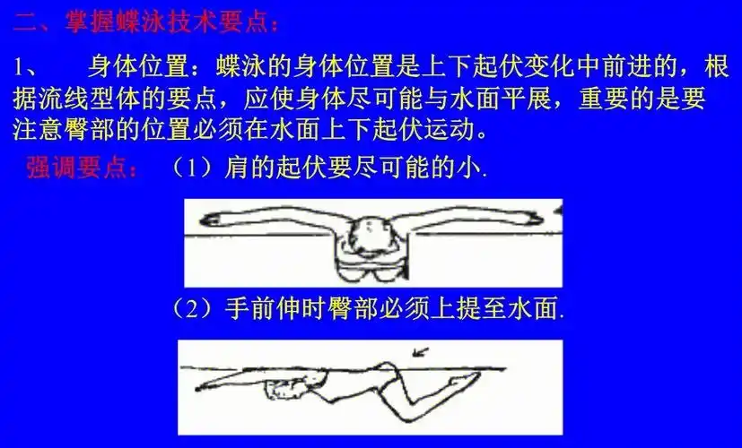 游泳姿势蝶泳技术动作解析