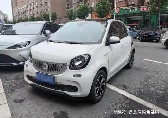 坑惨国人的四个"伪豪车",国外当草国人当宝,二手车贩避之不及|路虎