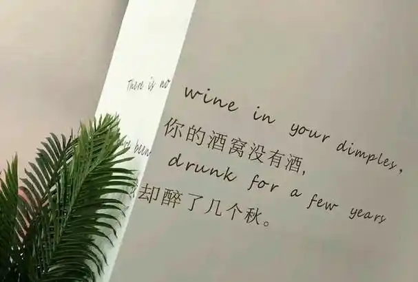 高冷又成熟文案(霸气超拽高冷吸引人句子) - 精美文字摘录