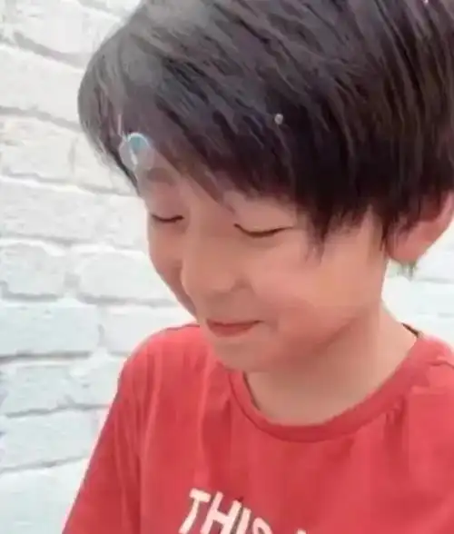 张柏芝晒儿子帅照,二儿子颜值爆表,网友惊呼:这不是小