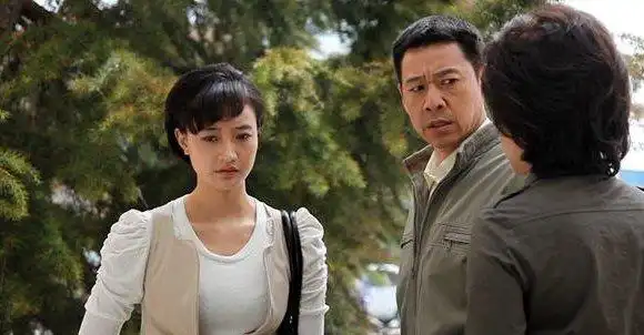 颜丙燕演过的电视剧