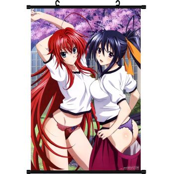 挂画 莉雅丝爱西亚朱乃 动漫周边海报卷轴挂画 二次元男女壁纸装饰画