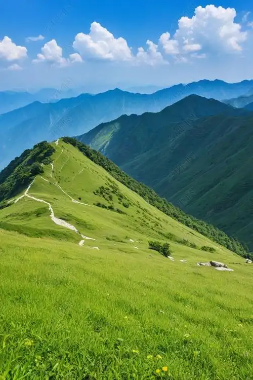 原创灵山高山草甸图片-版权可商用