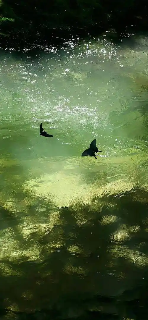 壁纸|8k高清手机壁纸 锁屏壁纸