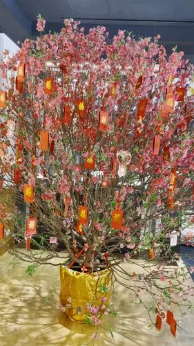 走过桃花运,好运常来!人缘满满!桃花美满!101