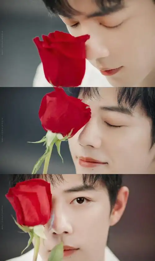 原创肖战最新广告大片合集roseonly双立人陌森眼镜京东电器