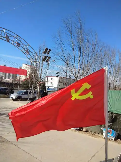 让鲜艳的党旗在防疫一线高高飘扬!