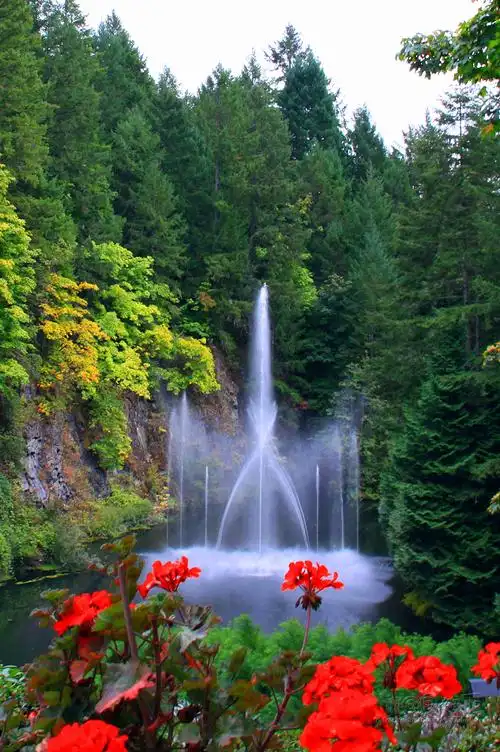 【图文】(加拿大)世界上最美的花园,布查太太与花仙子的故事