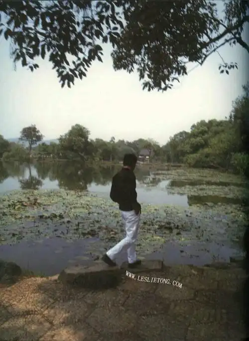 哥哥张国荣西湖背影