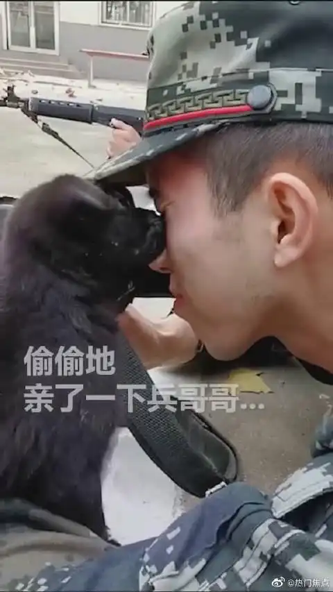 每天更新焦点事件,欢迎关注!