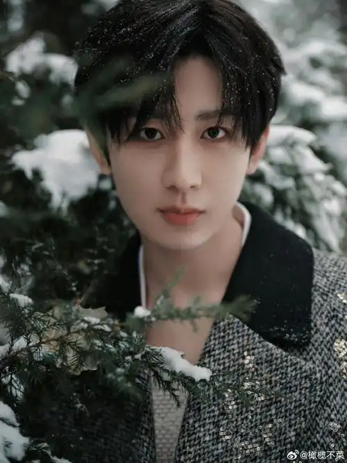 成毅是相中墙上的砖了吗