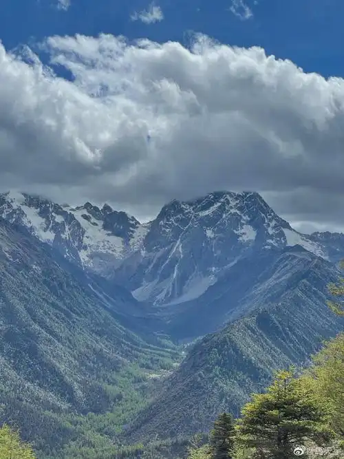 马天宇分享风景照