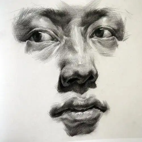 半身头像素描头占比例