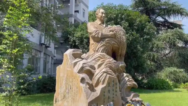 中国农民丰收节今天西南大学袁隆平雕像前满是鲜花