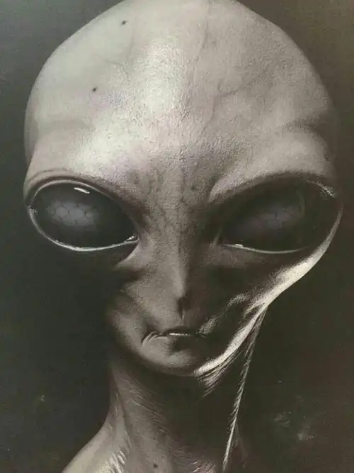 人类即将毁灭,外星人即将占领地球?