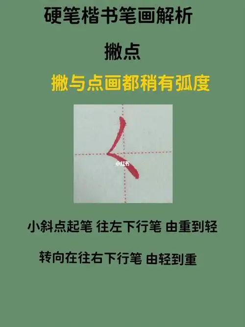 硬笔楷书笔画解析之撇点