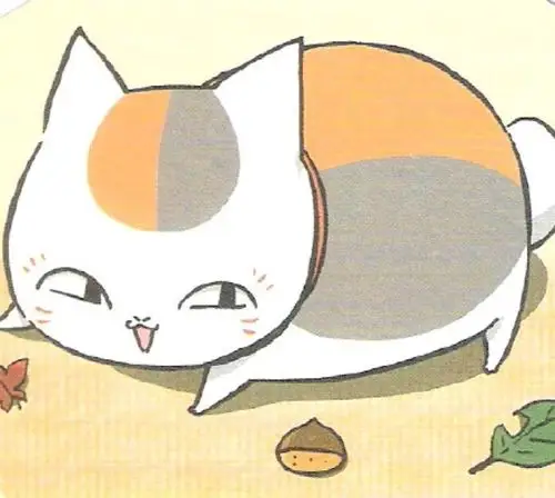 超可爱的猫咪老师9张图