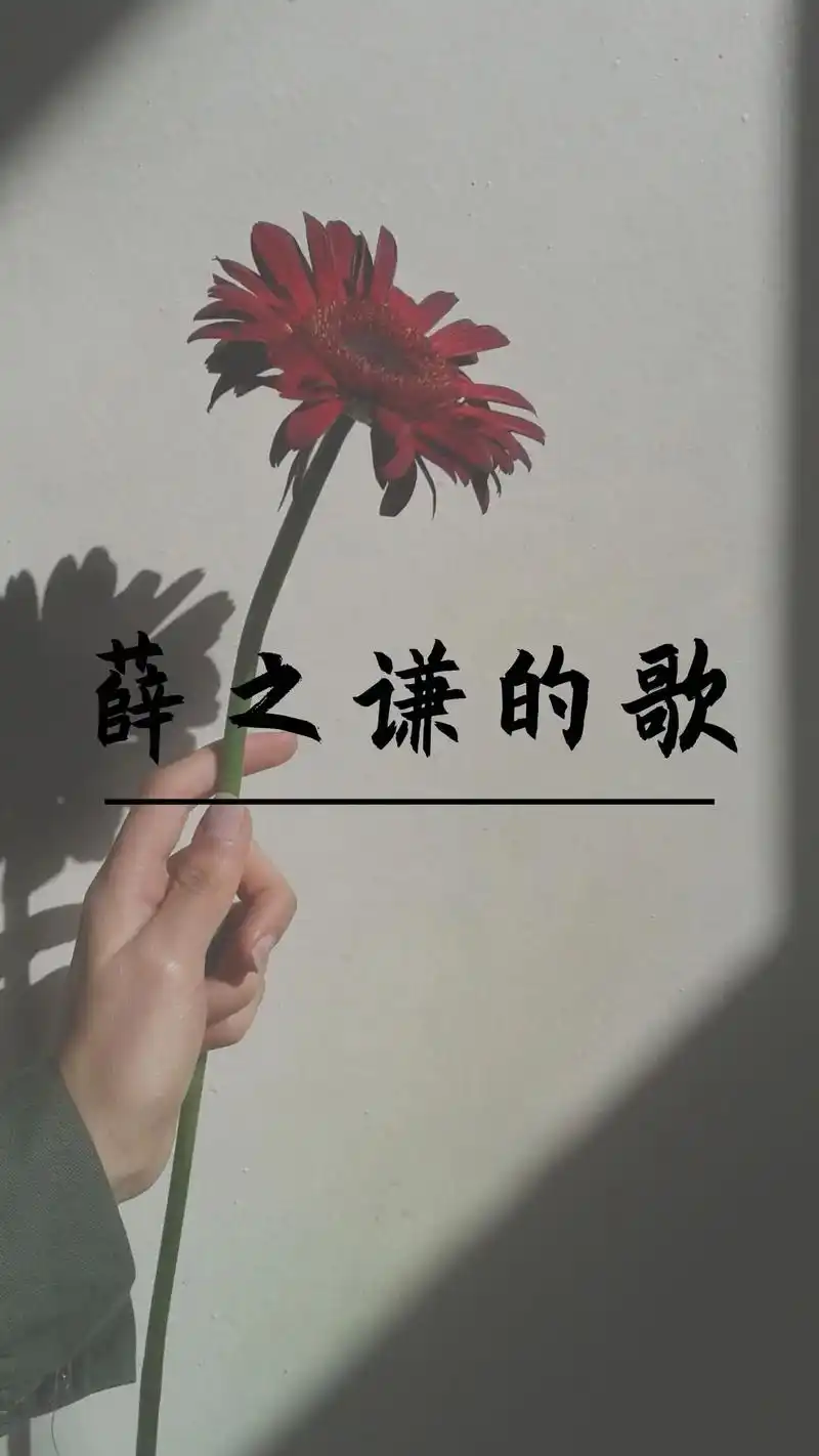 偶尔听听老薛的歌.#薛之谦 #自制壁纸  歌词来源:#那是你 - 抖音