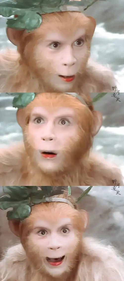 六小龄童 | 孙悟空cr:野河逐火