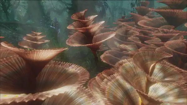 阿凡达里面的一些植物