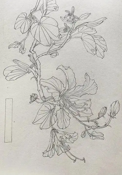 轻轻点击,一起接近最"美"的答案_福建师范大学_零二七艺考