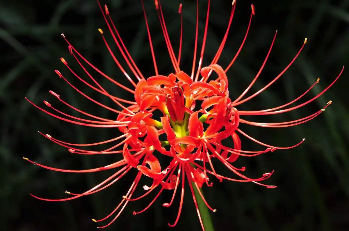 黄泉之君待我生