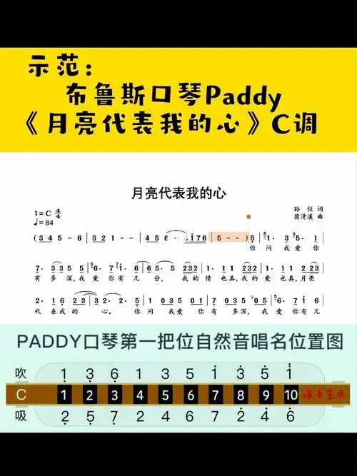 布鲁斯口琴paddyc调示范月亮代表我的心