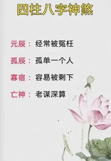 国学智慧 四柱八字神煞知识分享#命理八字 #易经文化 #关 - 抖音