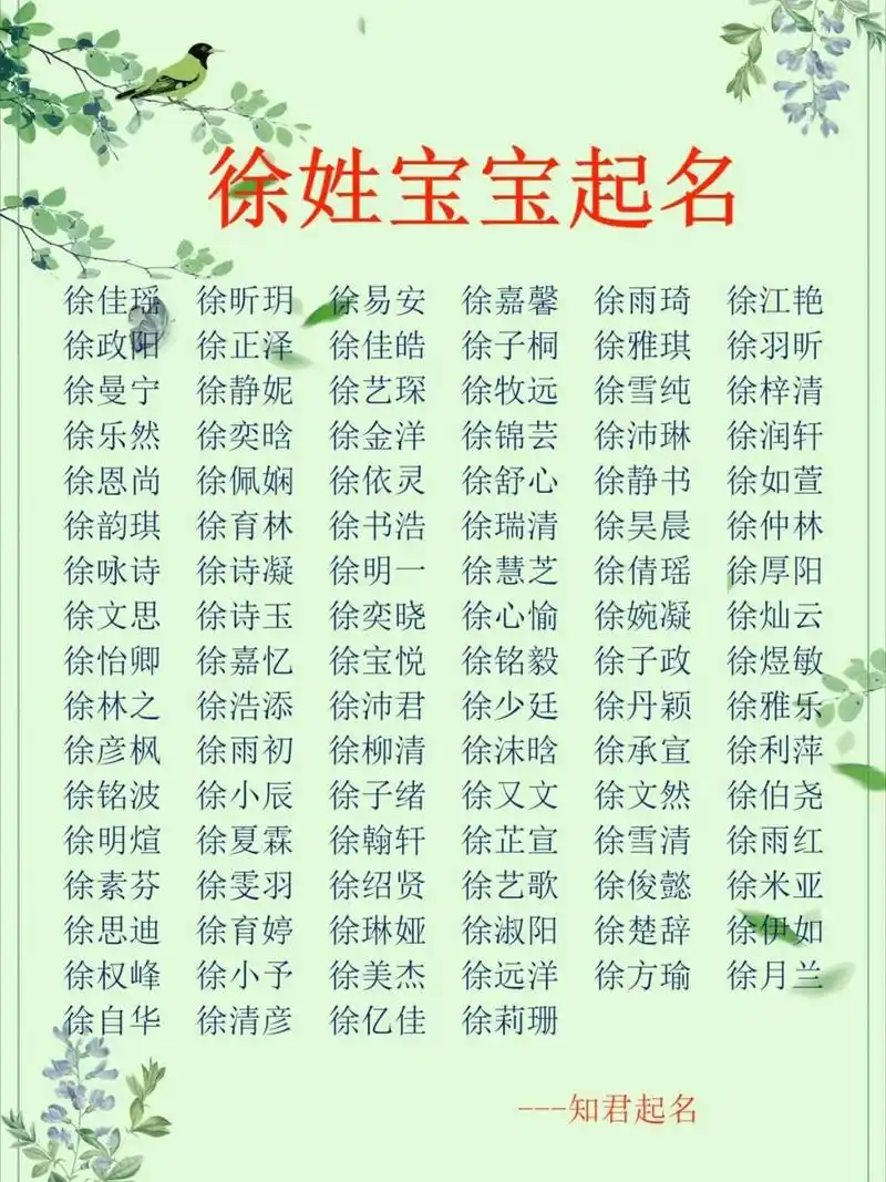 徐姓宝宝起名|男孩女孩取名改名名字大全 979797徐姓男孩女孩