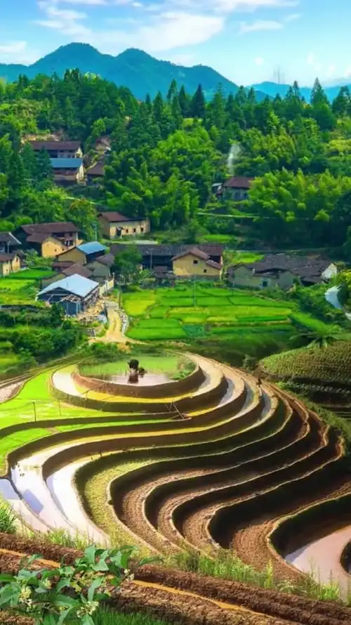 农村大山7215里的风景
