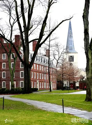【图片14】哈佛,麻省大学校园--蜂鸟论坛照片套图