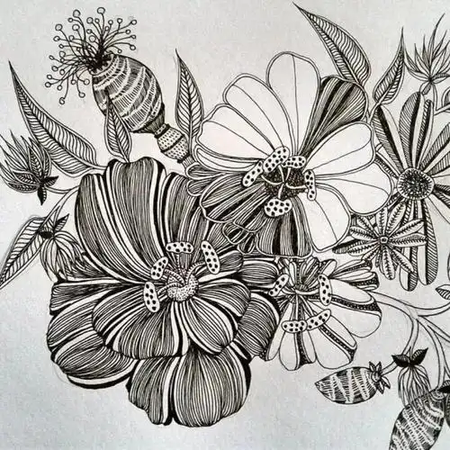 她笔下针管笔线描如此有趣且精致,看一眼,保证你喜欢上黑白插画